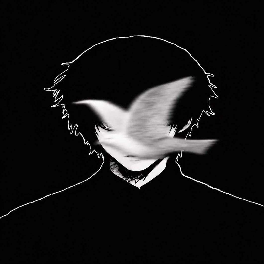 Kazo profile picture